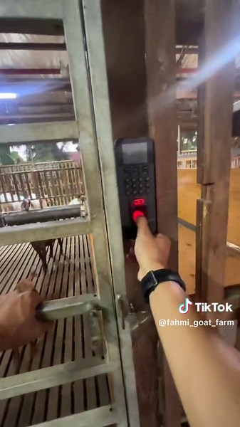 Goat Feeding at a Charming Farm Facility