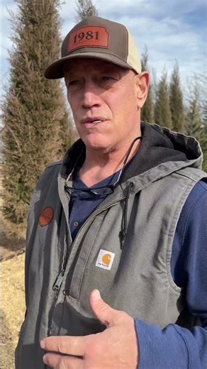 Buy Trees Now 🌳 We Load • Pickup Through March | Online Tree Auction