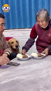 116K views · 10K reactions | Baby Dogs  Cute and Funny Dog Videos | Baby Dogs | Facebook