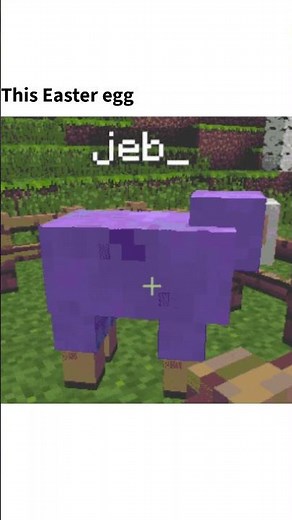 History behind the rainbow sheep jeb in minecraft.REUPLOAD. #minecraft #jeb #memes