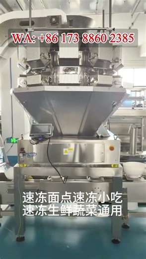 Automatic 1-5 kg Frozen Food Pouch Packing Machine #packingmachine #machine