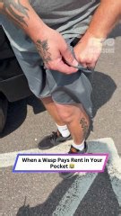 Wasp in pocket! He thought she was overreacting—until this | Heartsome 💖