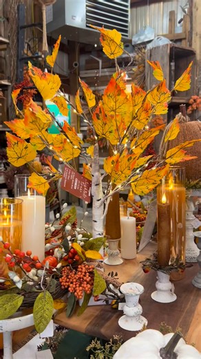 2.9K views · 50 reactions | Tabletop Light Up Tree for Fall 李 Lutz Greenhouse 7879 W.Pine Lake Road Salem, Ohio 330.702.1097 | Lutz Greenhouse | Facebook