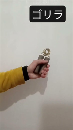 ゴリラハンドグリッパーをただ握ったトレーニング。