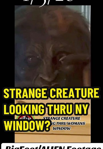 Creepy Alien Bigfoot Spotted at Window in California