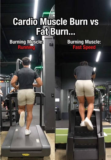 Are You Burning Fat or Muscle During Workouts?