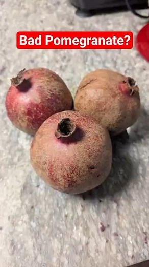 This Neglected Pomegranate Tree Has a Juicy Secret!