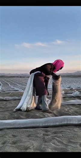 Revolutionizing Sand Dunes: China's Advanced Grass Grid Technology