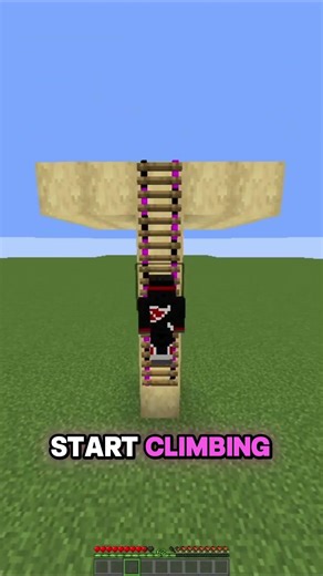 Minecraft Ladder trick ⛏💎