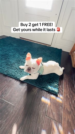 11K views | Tired Of Pets Dragging Dirt and Mud Inside The Home?  The Muddy Mat Is Perfect For Pets With Dirty Paws 70% OFF For a Limited Time! | Muddy Mat | Facebook