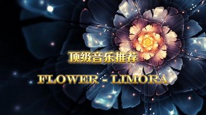 全球顶级纯音乐《Flower - Limora》动听的音乐是对心灵的慰籍