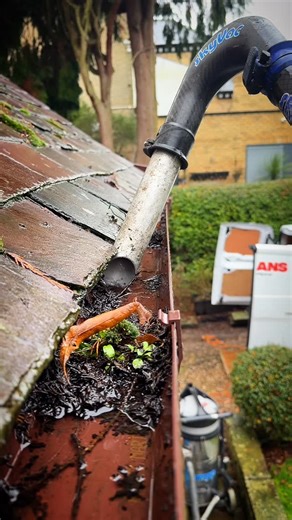 Gutter Cleaning Hull | Normans on Instagram: "We just love doing what we do, the fact we fix property problems before they start, for example, overflowing gutters yes do overflow down the outside of your house but what you don’t see is the water the flows into your property as this just soaks in between the brickwork & damages your property for months before you get warning signs internally!"