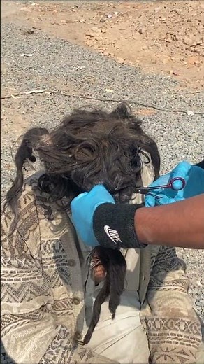 From Homeless to Completely Changed