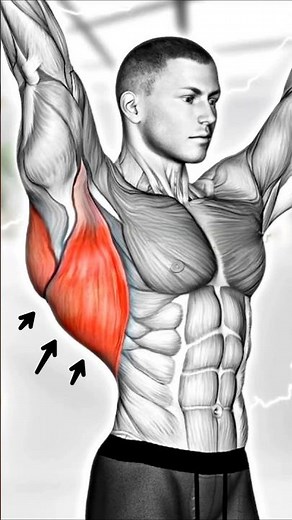 How to Build Wider Back (Lats) - 6 Best Exercises For Back #Backworkout #Backday
