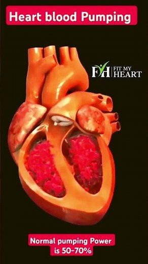 Heart Blood Pumping Chambers and Valves #fitmyheart