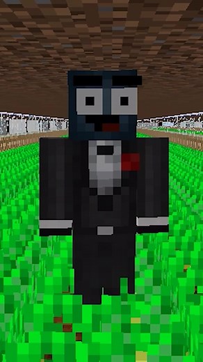 Potato Wars: The Squid Kid Showdown