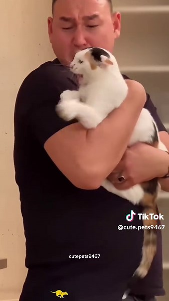 Funny Jealousy Moments of Cats