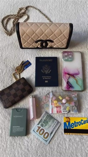 What fits in the Chanel WOC