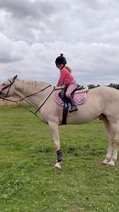 337K views · 2.9K reactions | It’s a long way down when you’re 7. How I dismount the 17hh Stallion Crowns Ace of Pearl. #horse #stallion #equestrian #horseriding #showjumpinghorse #showjump #trending | Jumping with Ivy | Facebook