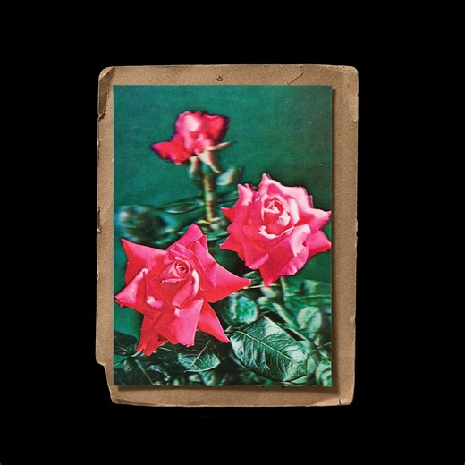 Stranger Than Kindness: The Nick Cave Exhibition opens Friday, April 8 at the Galerie de la Maison du Festival, Montreal. Tickets on sale this Friday, March 4 at 10am: evenko.ca/en Stranger Than Kindness: The Nick Cave Exhibition is a multi-media journey into the complex works, creative life, and artistic legacy of musician, songwriter, storyteller, and cultural icon Nick Cave. nickcavemtl.com/ | Nick Cave