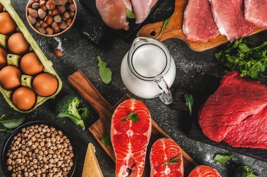 Les aliments les plus riches en protéines : le guide des meilleures sources