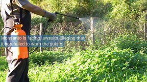 742 reactions · 205 shares | Monsanto’s Roundup, the most common weed killer in the world, has been alleged to cause cancer. If you were diagnosed with non-Hodgkin’s lymphoma after using Roundup, call (844) 892-6558 or click "Learn More" for a review before it's too late. 1. We have won millionsfor clients 2. 100% Free, No-Obligation Consultation ‍⚖️ | ClassAction.com | Facebook