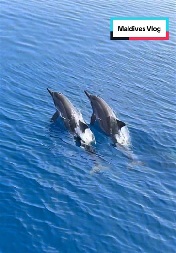 The best day ever @Lea Charlotte #corysworld | lea and cory