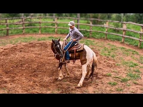 RIDING The WILD HORSE With SPURS For The First Time! | Taming A Wild Horse [EP26]