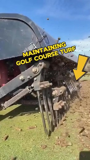 6.4K views · 30 reactions | Maintaining golf course turf #fyp #DidYouKnow | Dream Decor Co. | Facebook
