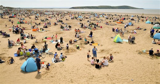 Horror as insects invade tourist beach and bite sunseekers