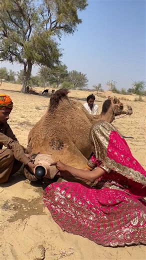 فتاة في قلب الصحراء تحرك شيئًا غريبًا داخل الجرة تحت الشمس الحارقة 😱