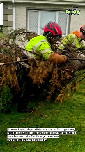 Powerful Wood Chipper Turns Tree Branches Into Mulch Fast | Satisfying Machine