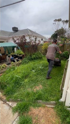 🌱 From jungle to backyard bliss! ✂️ #shortsvideo