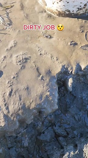 Sandworms: Maine Fishing Bait with a Bite!