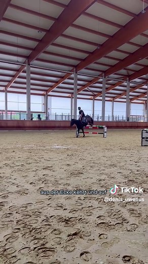Kreativer Trainingsparcours aus Cavalettis für Springreiten