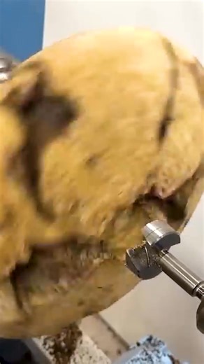 I turned the world's rarest wood! 🌳 #woodturning #rarewood #woodart #woodworking #crafting #lathework #decorativeart #diyprojects #satisfying #wooddesign | Jack Mack Woodturning