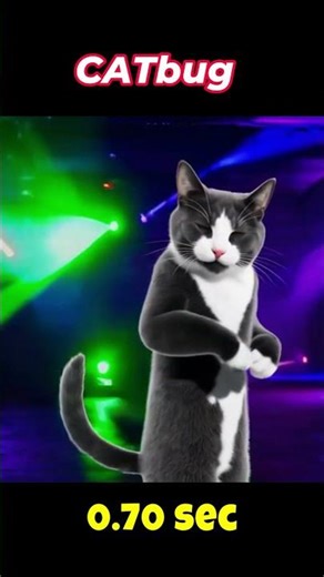 ⚡ CATBUG 🐱💥 | Viral Meme Cat Video (0.8s Loop) #shorts