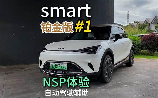 smart的纯视觉智能驾驶NSP是这样的