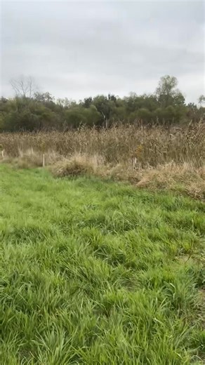 277 reactions · 3 comments | Land ownership comes with all sorts of...