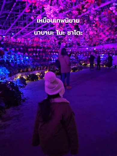 เหมือนหลุดไปในฝัน เต็มไปด้วยดอก Begonia แสงสี และหมอกฟุ้งๆ เหมือนเทพนิยายเลย #begonia #nabananosato #japan #withskill #skillnaviya