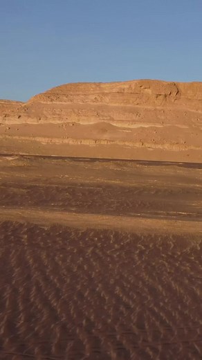 Perucetus colossus: la ballena gigante de Perú que vivió hace millones de años