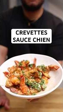 DOG SAUCE