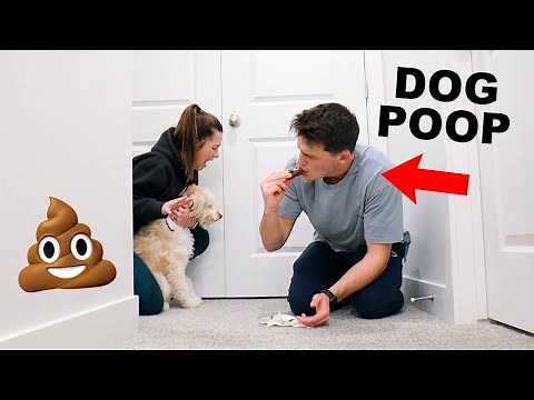 Eating DOG POOP To See How My Wife Reacts...