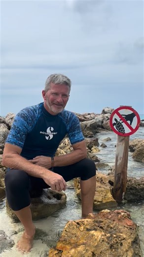 We’re so excited to be back at Olas Y Copas for Turtle Rock 4 this 2025! #TurtleRock2025 📍 Olas Y Copas 🗓️ Saturday Nov 1st 🎉 Party starts at 6PM What to expect: - Live music from Sleeves, Vincent Vega Trio & DJ Joe Alonzo 🎶 - Silent auction & raffle packed with amazing prices 🎟️ - Food, drinks and sunset vibes🍹 - Prize for best Halloween costume 👻 You can buy your raffle tickets at the entrance. More tickets = more chances! All proceeds support Sea Turtle Conservation Curaçao! Come party