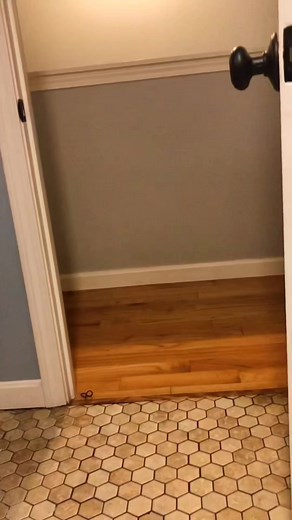 1.3K views · 21 reactions | Great Pyrenees act calm until they see a leaf move then it’s game on  #GreatPyrenees #DogComedy #FunnyPets #DogOwners #DogLife | Animals cares | Facebook