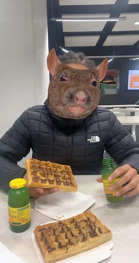 Le Rat : Un Bon Goût de Tiktok !