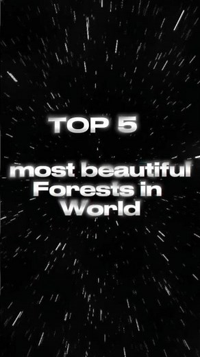 Top 5 Most Beautiful Forests in the World.