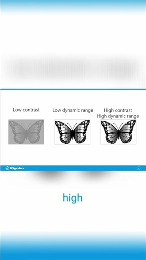 Image Contrast Why High Dynamic Range Is Key!