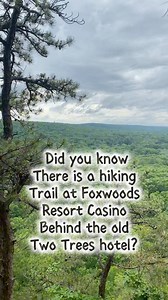19K views · 169 reactions | Discover the scenic trail behind the old “Two Trees” Hotel near Foxwoods! This trail offers a peaceful escape with lush woodland views, native wildlife sightings, and approximately 2 miles of easy hiking. Perfect for nature lovers and outdoor enthusiasts looking to explore Connecticut’s natural beauty just steps from the casino! #hike #travel #Connecticut #thingstodo #nature #casino #view | Everything NewEngland | Facebook