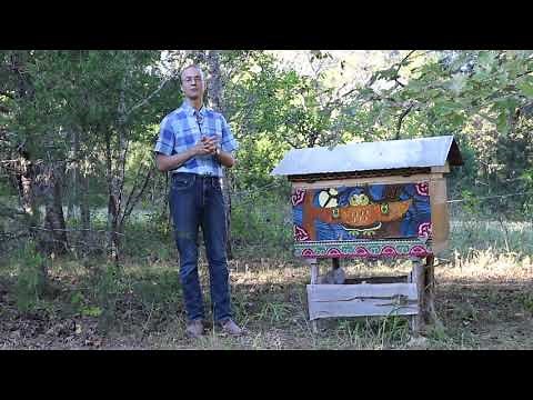 Propagating Wild Bees with Leo Sharashkin